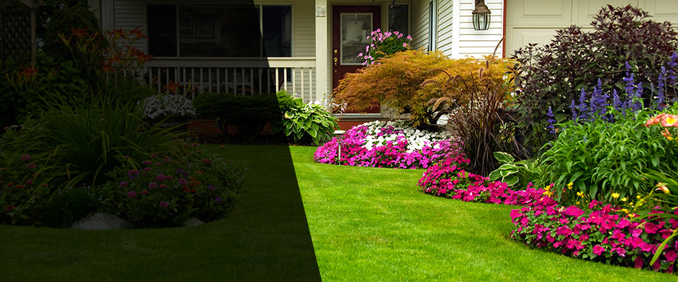 Torrance Landscapers