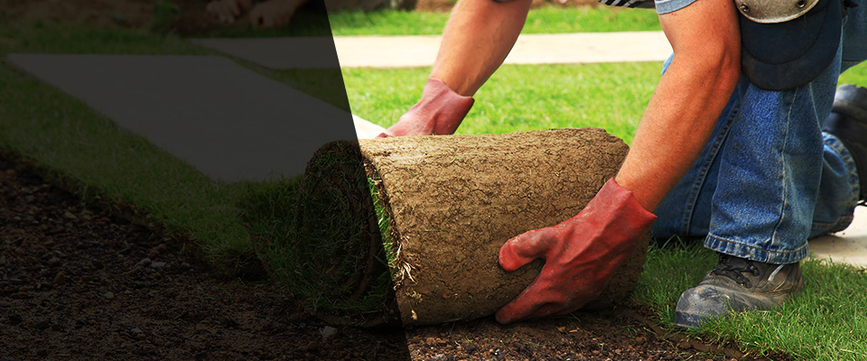 Torrance Landscapers